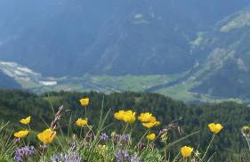 Stroblhof - Photo 39