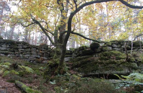 Gîte sainte Famille - Photo 43