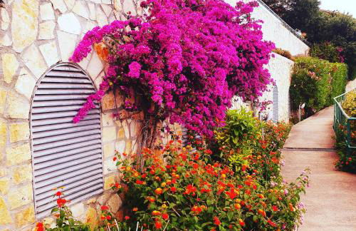 La terrazza di monaco - Foto 3