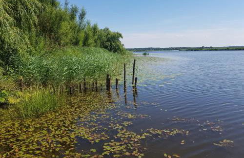 Dat Schmucke Huus - Foto 45