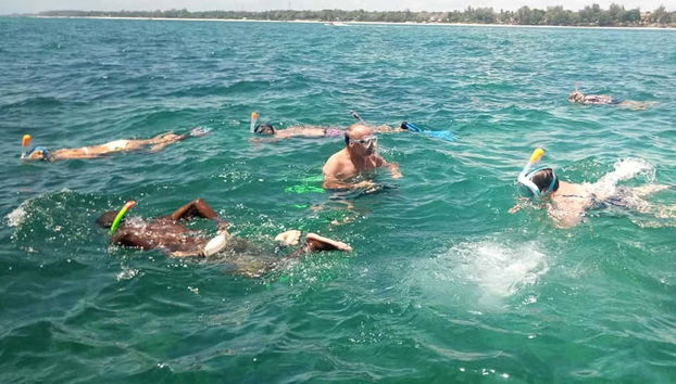 Paseo en barco con fondo de cristal por Diani - Foto 3, ¡Haced snorkel en el océano Índico!