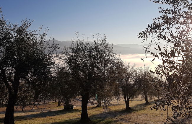 Il Borgo di Villa Cellaia - Photo 79