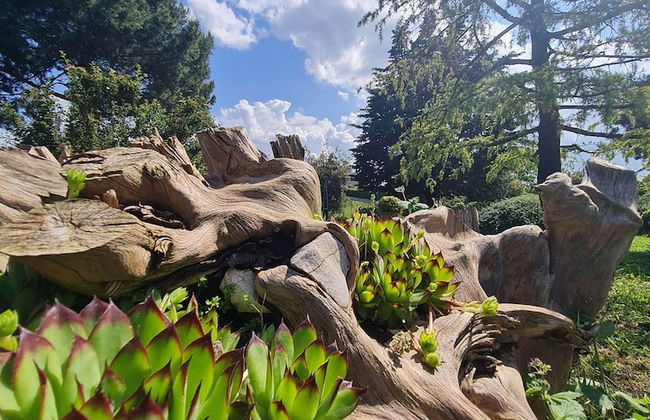 AgriBio Villa Ribes - Foto 43