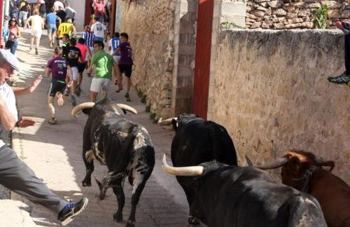 APARTAMENTO RURAL LA CANDELARIA - Foto 25