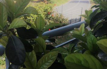 Evilion house inTholo. Sea, nature, relaxation! - Foto 35