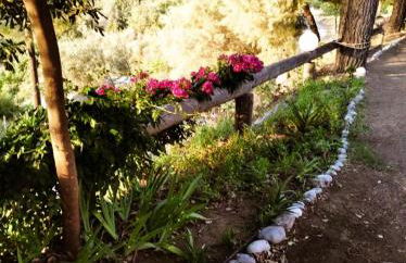 Dialiskari #2 - Foto 24