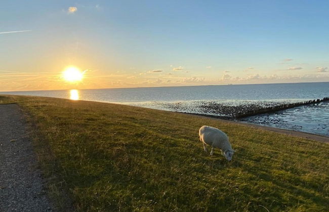 Bungalow in Sondel Near Slotermeer Lake - Foto 37