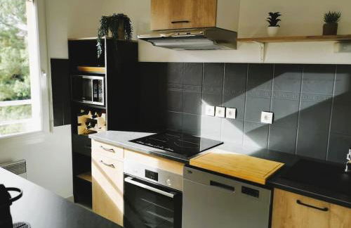 Casteljaloux Appartement 2 chambres balcon parking résidence calme - Foto 4