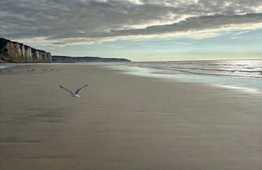 La cour d Anvers - Foto 38