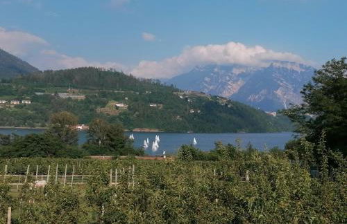 Ca' dei Cigni - Foto 8