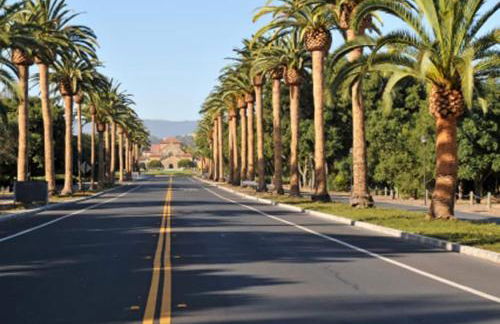 Downtown Palo Alto Gem! Cute, Spotless Guest House - Foto 20