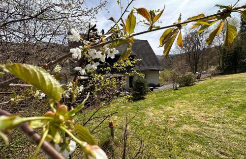 VILLA WALDHAUS WILLINGEN SAUERLAND - Charming Villa near Forest for 12 Guests with Huge Garden - Nearby Winter Sports Area with Ski Slope - Hiking and Nature - Foto 13