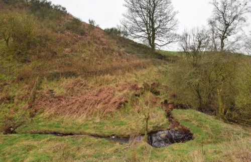 1 Bed in Brampton 73577 - Foto 19