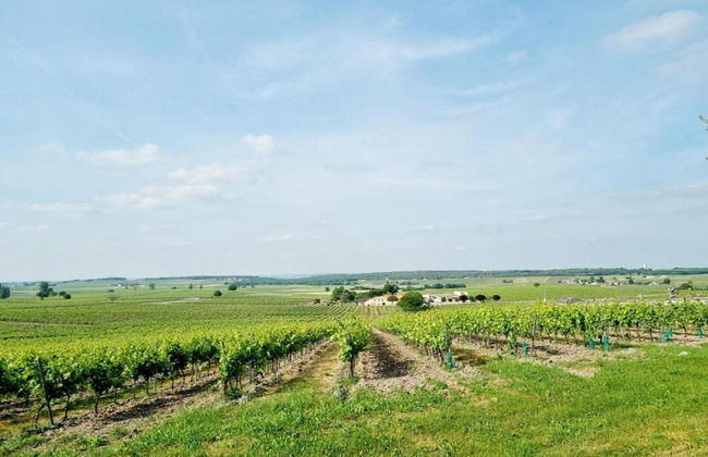 Luxury Apartment With Terrace, Sauna, Tennis, Pool - Foto 52