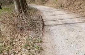 Ferienwohnung Wolf - Photo 22