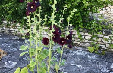Location chaleureuse à Orgnac-l'Aven avec piscine partagée - Foto 7