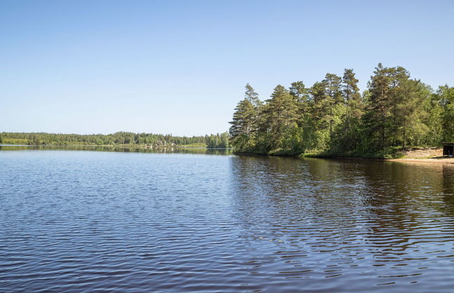 Vänneböke - Foto 27