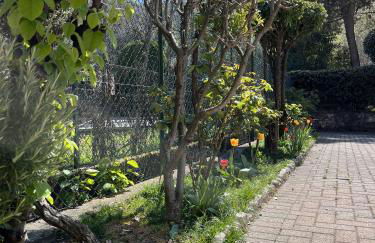 Cà del Fili - Foto 27