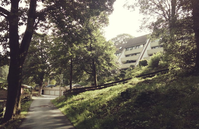 Apartment Harzgrün 2 - Foto 7