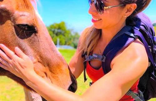 Charming Cottage Rental for a Fun-Filled Vacation in the San Francisco Bay Area, California - Foto 26