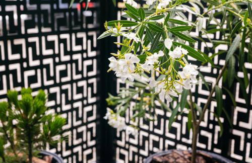 Haven Apart Nowa Sól - Foto 39