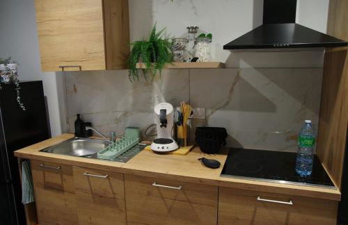 Bulle tropicale jungle - Foto 15