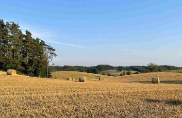 Gdzieś Na Kaszubach - Domek z balią otoczony piękną naturą - Foto 27