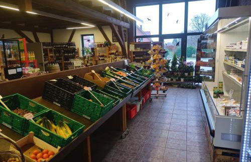 Sterne-Anlage HOF NIEMEYER Steinhuder Meer - Foto 43