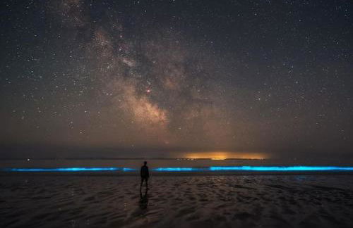 The Hut@Trefechan Wen - Coastal Coziness! - Photo 36