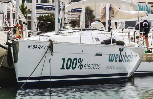 Observation de dauphins et de baleines à Dénia - Photo 3