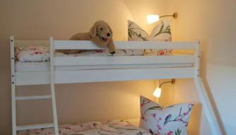 Inselblume 05 - Große Ferienwohnung in Landkirchen mit Hund - Foto 3