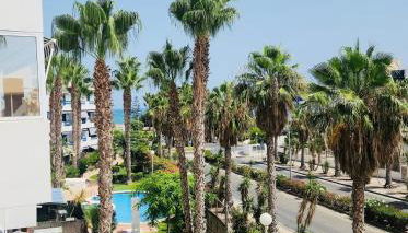 Palm Apartment - La Calma - Foto 4