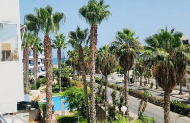 Palm Apartment - La Calma - Foto 4