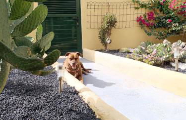 El Caseto - Photo 30