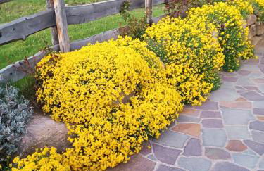 Baita dei Fovi - Foto 34