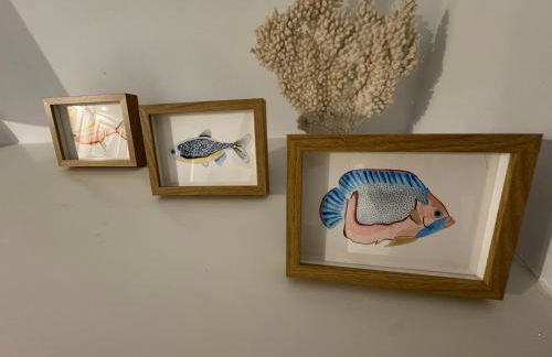 Oasis Ancla 4 - Foto 26