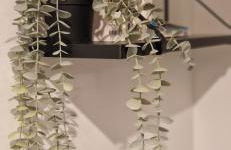 House - Sunlit haven with outdoor terrace, garage and metro 14, RER B - Foto 18