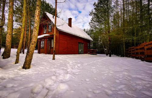 Ostoja Stacze - Foto 66