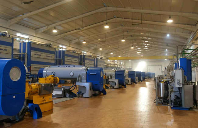 Visita a um olival e a um lagar de azeite + Degustação de azeites - Foto 12