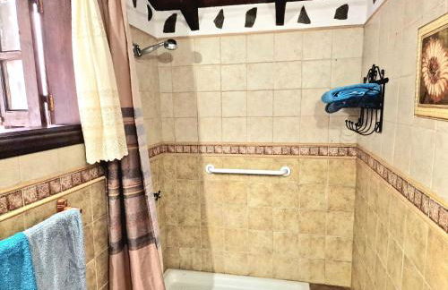 Casa Canaria Drago in Icod de los Vinos - Foto 20