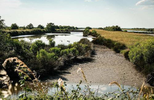 Charming Studio Lumineux - Foto 22