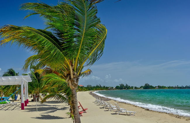 Miramar Apartments - Foto 49