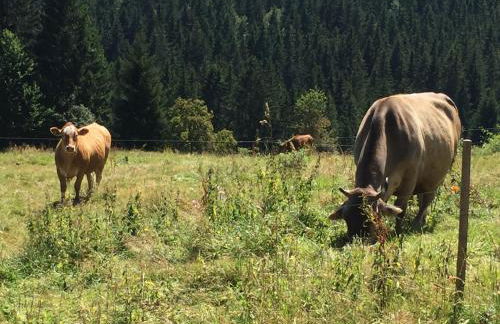 Ferienhaus Bruno - Südhanglage mit 2 Schlafzimmern - Foto 19