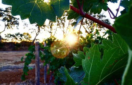 Agriturismo Diaccialone - Foto 40