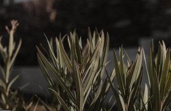 Stamna Sifnos, a member of Design Hotels - Photo 160