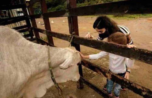 Bonito Aconchegante no Hotel Pedra do Rodeadouro Bonito PE - Photo 48