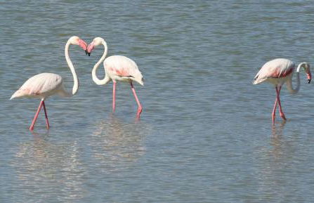 Apartamento Acogedor Mar Azul - Foto 27