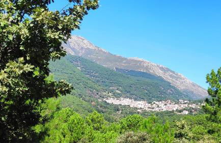 Hospederia Doña Ligia - Foto 48