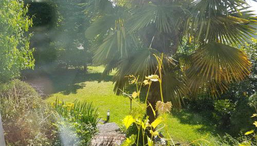 Regio Basiliensis - Foto 4, Garden