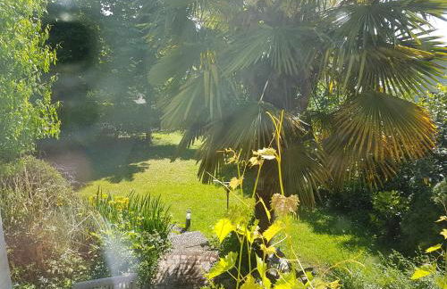 Regio Basiliensis - Foto 4